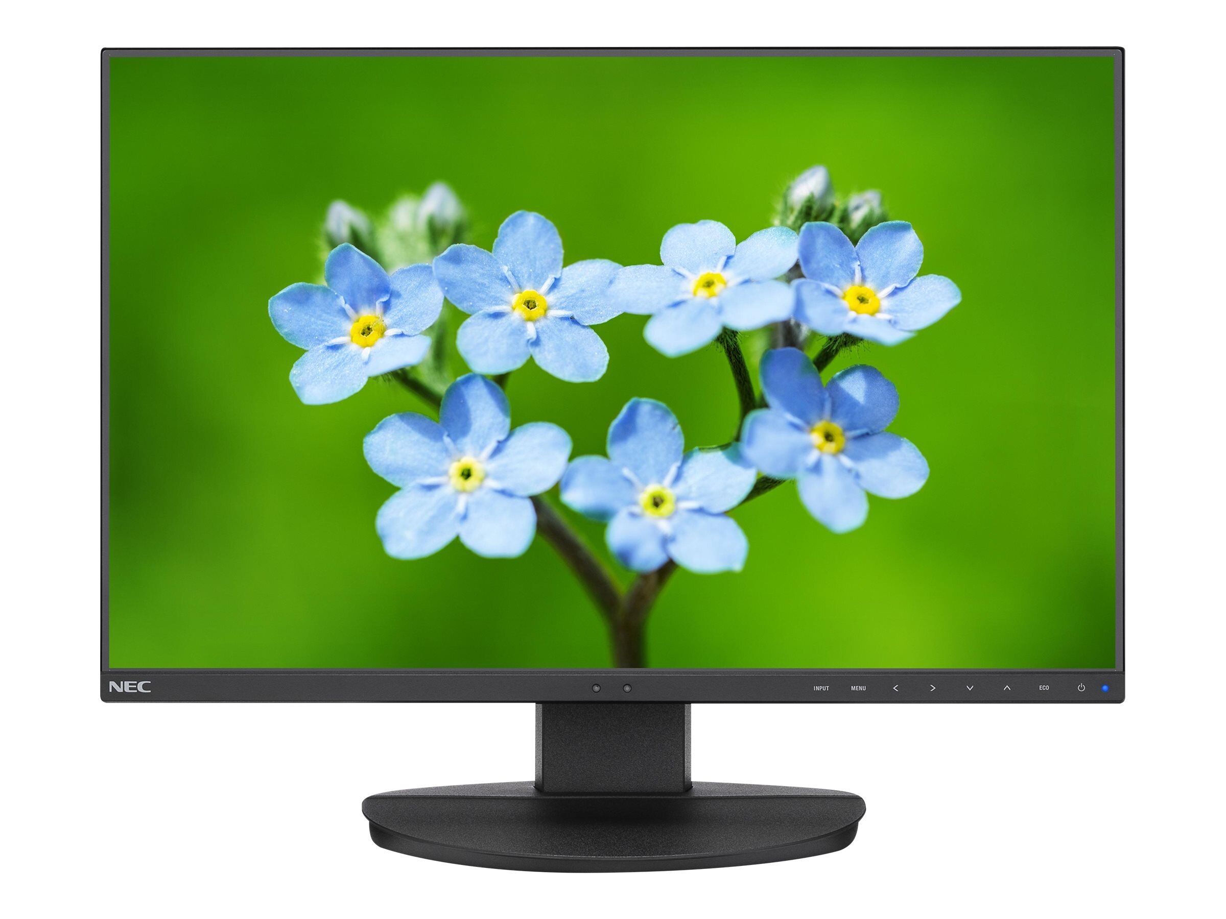 nec spectraview monitors