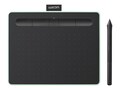 Wacom Intuos Pen Tablet Small, Green with Bluetooth, CTL4100WLE0, 35064063, Graphics Tablets