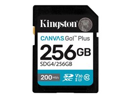 Kingston SDG4/256GB                     Main Image from Front