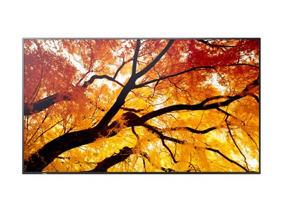 Sharp NEC  42.5 PN-M432 4K Ultra HD LED-LCD Display, PN-M432                       , 42085630, Monitors - Large Format