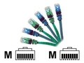 CP Technologies ClearLinks Cat6 550MHz Molded Patch Cable, Black, 100ft, C6-BK-100-M, 13198212, Cables CP Technologies ClearLinks Cat6 550MHz Molded Patch Cable, Black, 100ft, C6-BK-100-M, 13198212, Cables