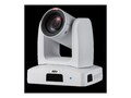 Aver Information PTZ310UV2 12X 4K AI PTZ camera, PTZ310UV2                     , 41909586, Cameras - Video Conference Room