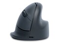 R-Go Tools R-GO HE BASIC ERGONOMIC MOUSE,, RGOHEBAMRWL                   , 41823541, Mice & Cursor Control Devices