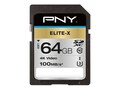 PNY 64G SDXC UI-U3 V30 R100 Ex GE , P-SD64GU3100EX-GE, 41199912, Memory