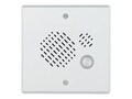 Algo 8028V Vandal-Proof SIP Doorphone, 8028V                         , 41875384, Locks & Security Hardware