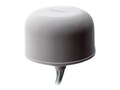 AccelTex 4 6 ANTENNA RPSP 6 LEAD 96 INC, ATS-OO-245-46-6RPSP-96        , 41960368, Wireless Antennas & Extenders