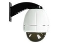 Videolarm IP Ready Vandal-Resistant Rugged Dome Housing, RHW75T2N, 7321421, Locks & Security Hardware