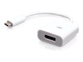 C2G 4K 60Hz USB-C to DisplayPort Adapter Converter - White, C2G26934, 41765228, Adapters & Port Converters