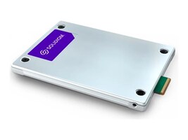 Solidigm                                 SBFPFABU307TOP1 Main Image from Left-angle