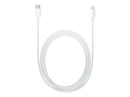 Apple USB-C to Lightning Cable, White, 1m, MUQ93AM/A, 41777741, Cables