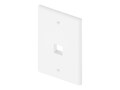 UNC 1-Port Wall Plate, Single Gang, White, WP-1P-WHT, 20078569, Premise Wiring Equipment