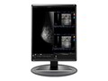 Eizo Nanao 21.3 RX560-BK 5MP LED-LCD Monitor, RX560-BK, 37242206, Monitors - Medical