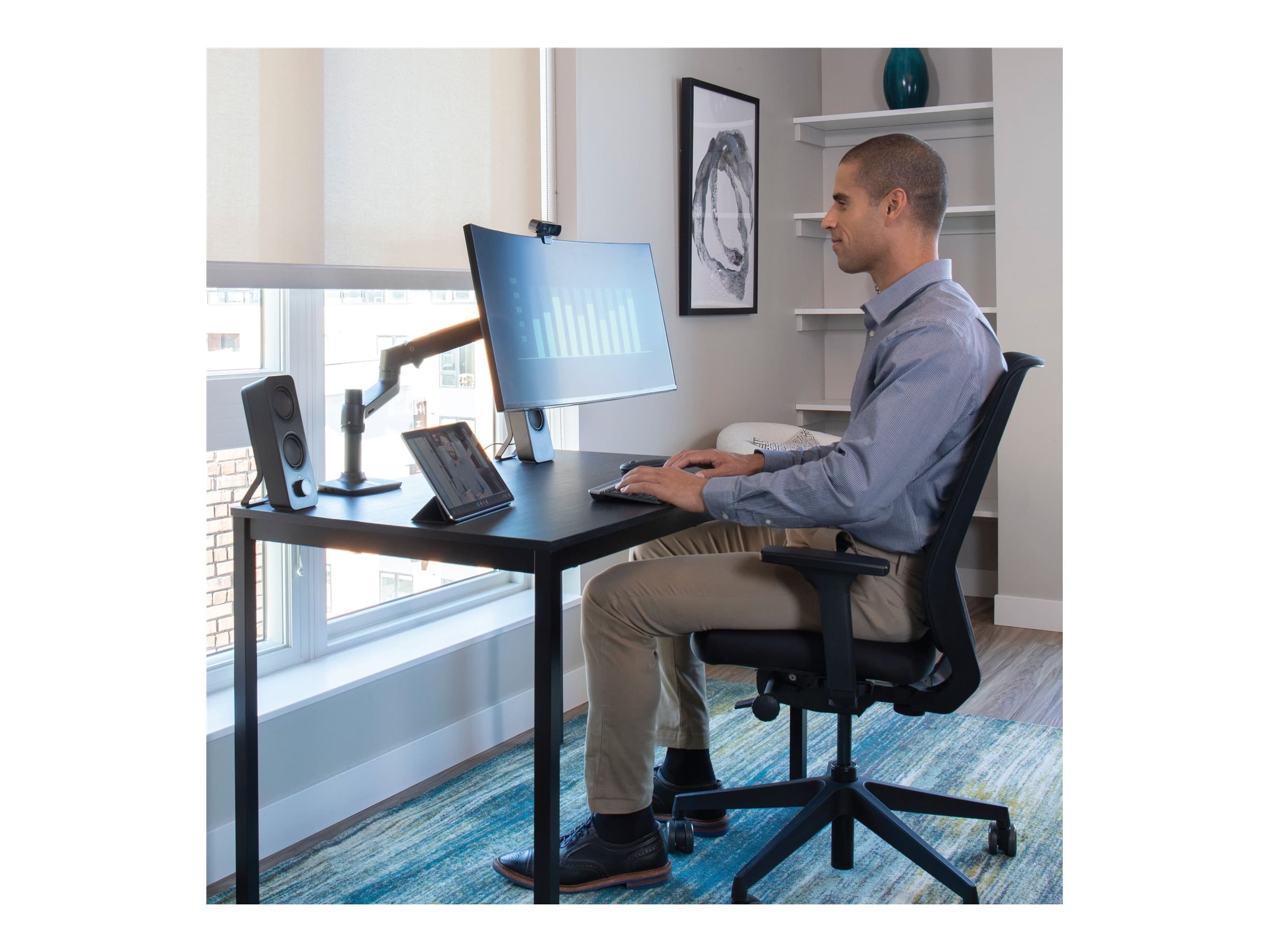 Ergotron LX Desk Monitor Arm, Matte Black (45-241-224)