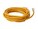 AddOn ADD-1FCAT6NB-YW Image 5 from Back AddOn ADD-1FCAT6NB-YW Image 5 from Back