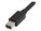StarTech.com MSTMDP123DP Image 5 from Close-up