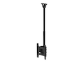 Peerless-AV Neptune Outdoor TV Ceiling Mount for 43 to 75 T, ECMUA, 41780224, Monitor & Display Accessories - Large Format