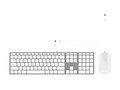Zagg Education USB-C Keyboard Mouse Bundle, 103217459                     , 41880933, Keyboard/Mouse Combinations
