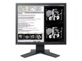 Eizo Nanao RadiForce MX194, MX194-BK, 41277793, Monitors - Medical