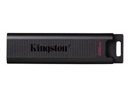 Kingston DTMAX/256GB Main Image from Front