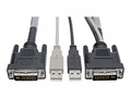Tripp Lite 2xDVI to 2xUSB-A Dual KVM 1920 x 1200 (1080p) @60Hz Cable Kit, 10ft, P760-010-DVI, 36972320, Cables