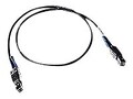 Promise SAS SFF-8644 to SFF-8088 Cable, 3m, X50CABXL3, 34475135, Cables