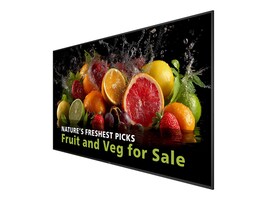 Philips 98BDL5050D/00                  Main Image from Right-angle