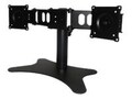 DoubleSight Dual-Monitor Flex Stand for Flat Panels up to 19 and 22 lbs., TAA, DS-219STB, 10767459, Stands & Mounts - Desktop Monitors