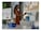 HP Inc. 675S5A#BGJ Image 11 from Front HP Inc. 675S5A#BGJ Image 11 from Front
