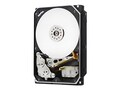 G-Technology 10TB He10 SAS 512e SE Hard Drive w  Carrier for Storage Enclosure 4U60 G1, 1EX0144, 32138485, Hard Drives - Internal