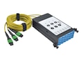 Tripp Lite 8.3 125 Fiber Breakout Cassette w Built-In MTP Cables, 40 GB to 10 GB, N482-3M8L12S-B, 33558318, Network Device Modules & Accessories