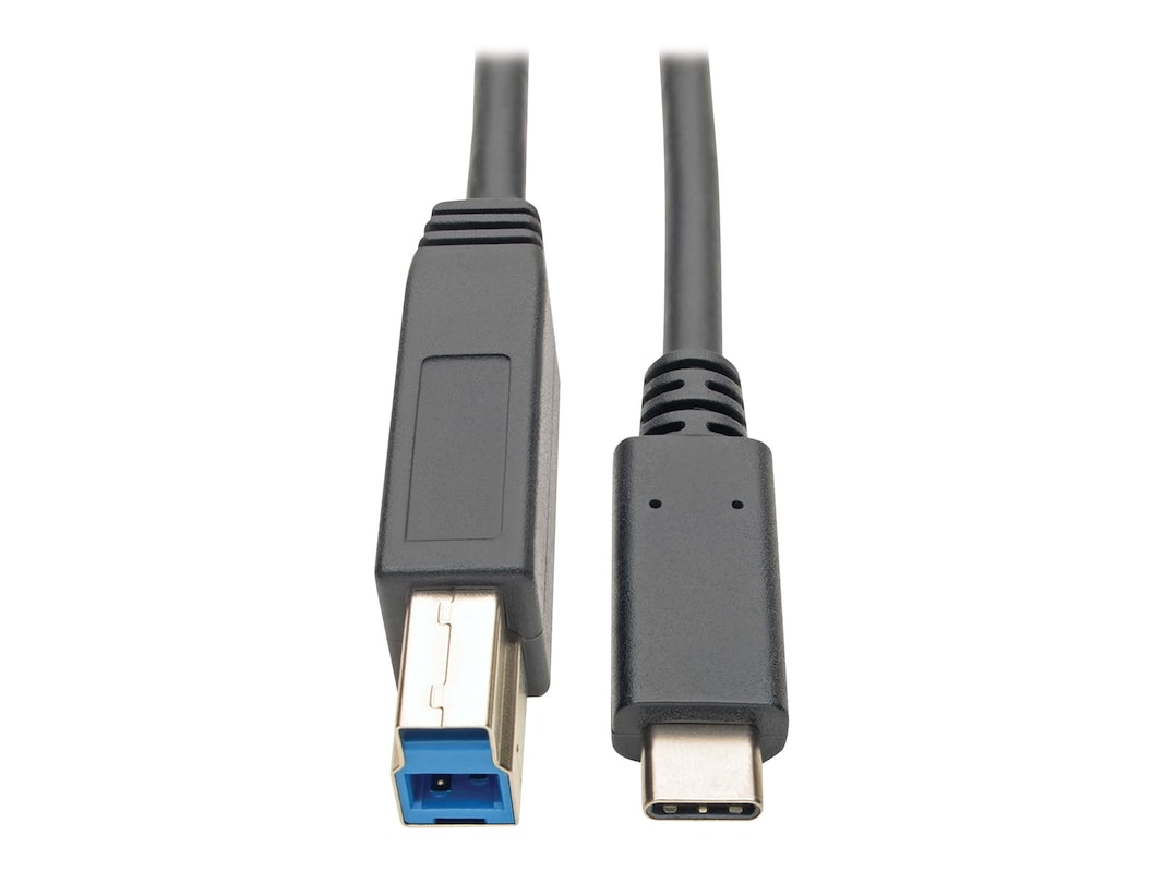 støvle morgue regering Tripp Lite Thunderbolt 3 USB 3.1 Type-C to USB Type-B M M Cable, (U422-006)