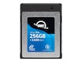 Other World 256GB Atlas Pro CFexpress Memory Card, OWCCFXB4P00256, 41705451, Memory - Flash