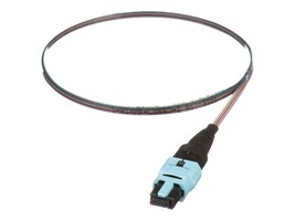 Panduit FZTCN7NNNONM001 Main Image from Right-angle