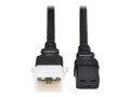 Eaton C19 TO P-LOCK C20 4FT BLK 6PK, P036-E04-6                    , 42003176, Power Strips