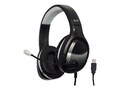 Avid AE-79 USB Headset, 2AE79KUSB, 41552960, Headsets (w/ microphone)