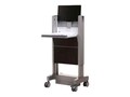 Capsa MTC Finish Panels, Chocolate Pear, 1804581, 13164434, Computer Carts - Medical