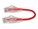 AddOn ADD-0-5FSLCAT6-RD Image 8 from Right side