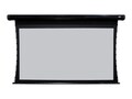 Elite WraithVeil Dual Projection Screen, CineTension 2, 16:9, 180, TE180HR2-DUAL, 41409883, Projector Screens Elite WraithVeil Dual Projection Screen, CineTension 2, 16:9, 180, TE180HR2-DUAL, 41409883, Projector Screens