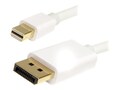 4Xem DisplayPort to Mini DisplayPort M M Cable, 6ft, 4XDPMDPCBL, 16922325, Cables