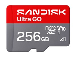 SanDisk Technologies SDSQUGN-256G-GN6MN Main Image from Front SanDisk Technologies SDSQUGN-256G-GN6MN Main Image from Front