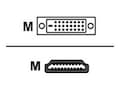 Gefen DVI to HDMI Locking Cable, 6ft, CAB-DVI2HDMI-LCK-06MM, 10121172, Cables