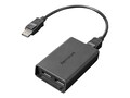 Lenovo DisplayPort to Dual DisplayPort Adapter, 0B47092, 14387445, Adapters & Port Converters