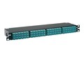 Panduit 144-fiber Flat Multimode OM4 fiber HDQ High Density Fiber Optic Cassette w  Standard Loss, Method A, F1RSZN-1A12-10S, 41773168, Network Device Modules & Accessories