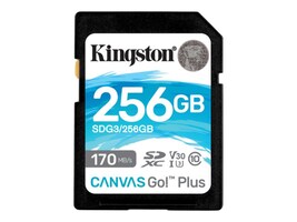 Kingston SDG3/256GB Main Image from Front