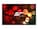 Elite Screens R92DHD5 Image 2 from Front Elite Screens R92DHD5 Image 2 from Front