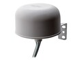 AccelTex 2.4 5Ghz 4 6 dBi 6 Element, ATS-OO-245-46-6RPTP-36, 41194561, Wireless Antennas & Extenders