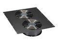 Black Box Dual 10 Fan Top Panel w  1100cfm Airflow for Elite Cabinet, ECTOP2F10, 12500512, Rack Cooling Systems