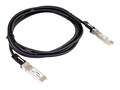 Axiom Amphenol Compatible 25GBASE-CU SFP28 Passive DAC Twinax Cable, 2m , SF-NDCCGF28GB-002M-AX, 41335882, Cables