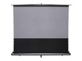 Elite ELITE SCREENS EZCINEMA TAB-TEN, FT123UH CLR5                  , 42130878, Projector Screens