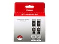 Canon PGI-250PGBK XL Black Ink Cartridges (2-pack), 6432B004, 15901240, Ink Cartridges & Ink Refill Kits - OEM Canon PGI-250PGBK XL Black Ink Cartridges (2-pack), 6432B004, 15901240, Ink Cartridges & Ink Refill Kits - OEM